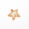 Star With Little Pearl Brooch